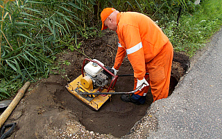 Kosztowne bobry Kosztowne bobry